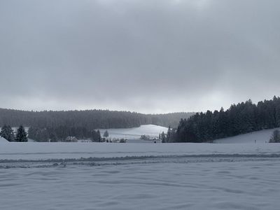 Ferien Appartement am Hotzenwald,