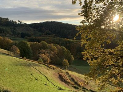 Ferien Appartement am Hotzenwald,