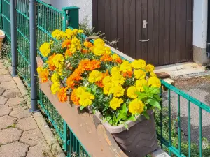 Appartement für 3 Personen in Herrischried