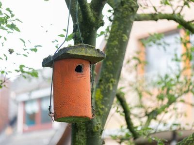 Appartement für 2 Personen (65 m²) in Hesel 9/10