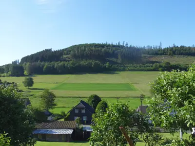 Ausblick aus Fewo - Blick zum Steimel