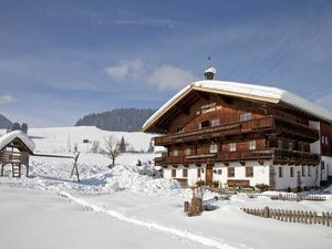 19377848-Appartement-6-Hopfgarten im Brixental-300x225-1