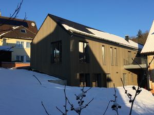 19028152-Appartement-4-Hüttlingen-300x225-2