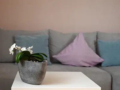 Appartement für 3 Personen (35 m²) in Immenstaad am Bodensee 5/6