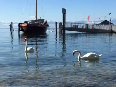 Appartement für 4 Personen in Immenstaad am Bodensee 10/10