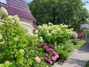 18088874-Appartement-2-Insel Poel-300x225-3