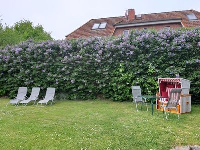 Appartement für 4 Personen (45 m²) in Insel Poel 3/10