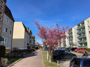 23874398-Appartement-5-Karlshagen-300x225-1