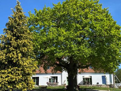 Appartement für 5 Personen (50 m²) in Kenz-Küstrow 5/10