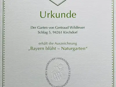 Naturnaher Garten
