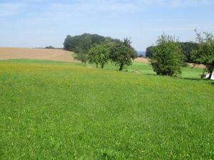 18075982-Appartement-5-Kirchzell-300x225-4