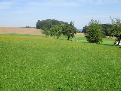 Appartement für 5 Personen (95 m²) in Kirchzell 5/10