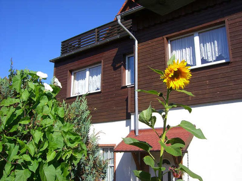23337500-Appartement-5-Königshütte-800x600-0