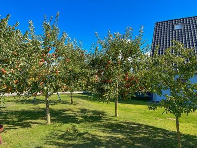 Appartement für 3 Personen (45 m²) in Kröslin 3/10