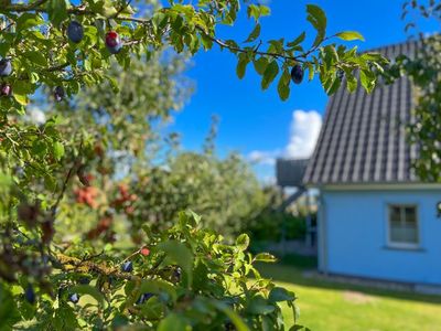 Appartement für 4 Personen (44 m²) in Kröslin 5/10