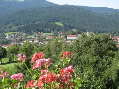 Blick nach Lam