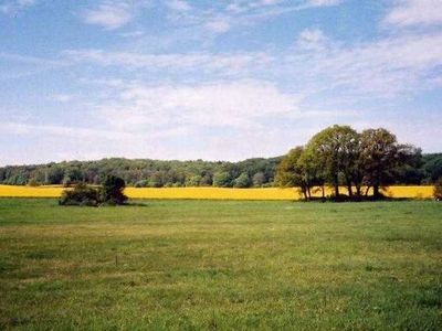 Appartement für 4 Personen (75 m²) in Lancken-Granitz (Rügen) 6/10