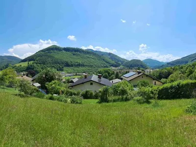 Appartements Eigelsreiter Garten im Sommer