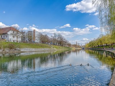 Ufer des Flusses Ljubljanica