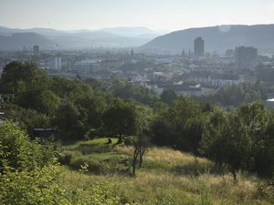 19375584-Appartement-2-Lörrach-300x225-1