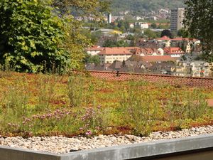 18933408-Appartement-2-Lörrach-300x225-3