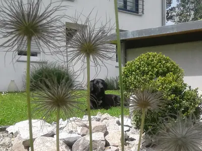 Appartement für 2 Personen (19 m²) in Lörrach 1/9