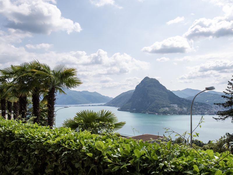 23708414-Appartement-4-Lugano-800x600-1