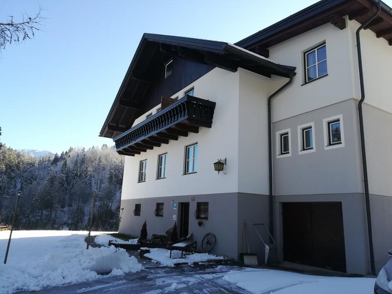 22135961-Appartement-3-Lunz Am See-800x600-2