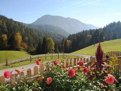 Aussicht am Hetzkogl