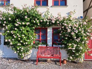 Appartement für 2 Personen (40 m²) in Malchow