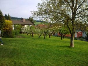 23910090-Appartement-6-Michelstadt-300x225-2