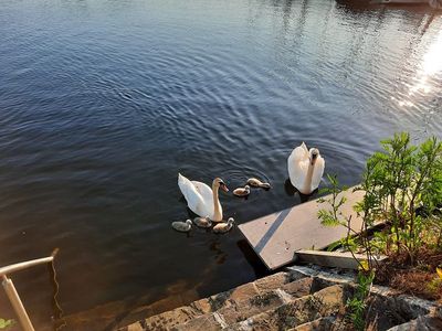 Besucher an unserer Seetreppe