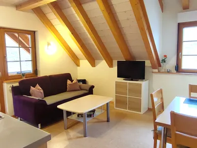 Appartement für 3 Personen (45 m²) in Münstertal 10/10