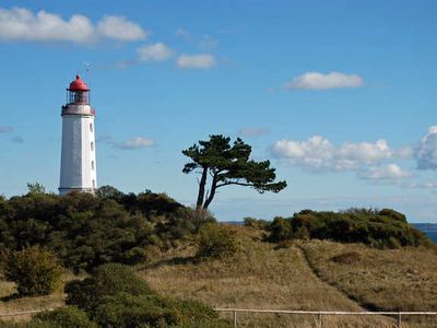 Appartement für 2 Personen (28 m²) in Neuendorf (Insel Hiddensee) 7/10