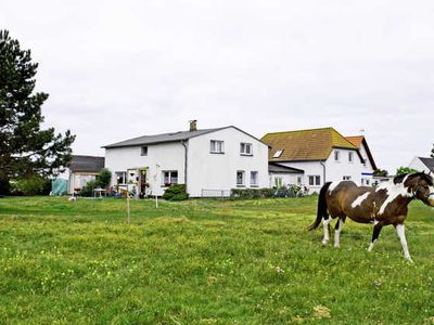 Appartement für 3 Personen (25 m²) in Neuendorf (Insel Hiddensee) 6/10