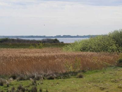 Appartement für 2 Personen (18 m²) in Neuendorf (Insel Hiddensee) 7/10