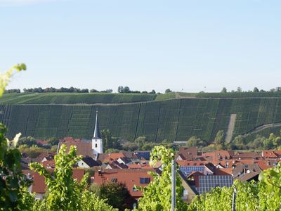 Blick auf Nordheim und die Weinberge