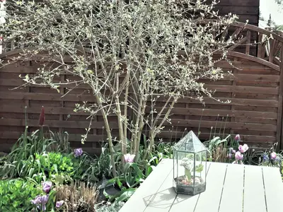INSIDE, OUTSIDE