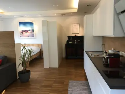 Loft Appartement Wohn / Schlafbereich