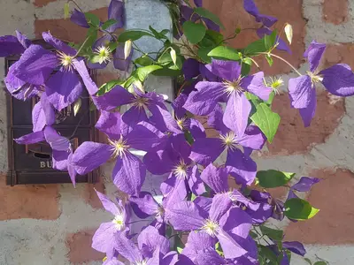 Appartement für 4 Personen in Obernburg am Main 1/8