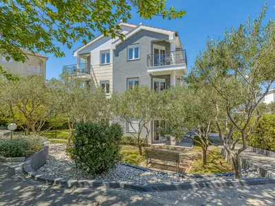 Olivenbäume und Sträucher rund um die Villa