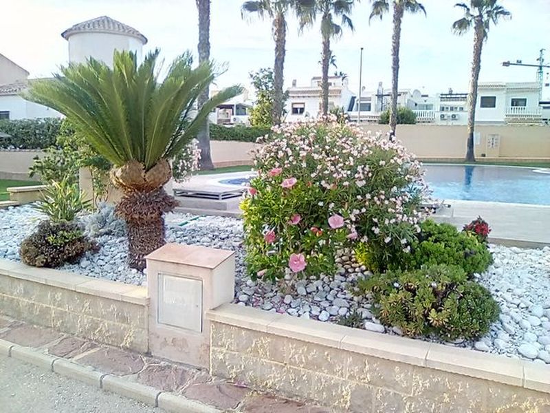 24005901-Appartement-4-Orihuela Costa-800x600-1