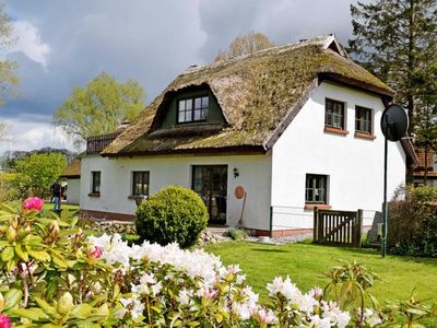 Appartement für 3 Personen (50 m²) in Patzig 2/10