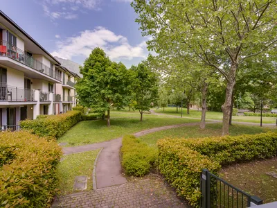 Umgebung