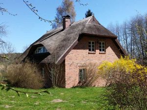 21621939-Appartement-5-Putbus-300x225-2