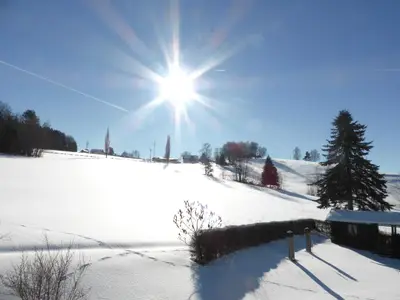 Garten im Winter