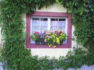 18288549-Appartement-3-Rickenbach-300x225-2