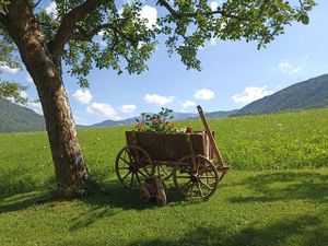 19191606-Appartement-6-Ried im Oberinntal-300x225-2