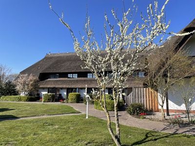 Appartement für 2 Personen (28 m²) in Sagard 2/10