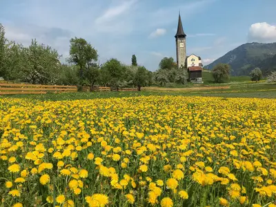 Katholische Kirche Mariä Himmelfahrt in Sagogn